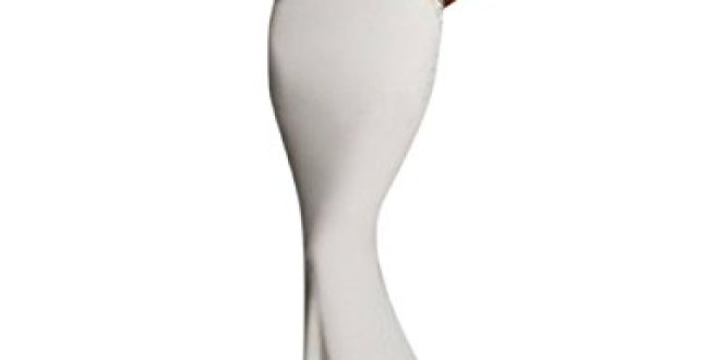 GlorySunshine Women’s Sheath Sexy Lace Backless Mermaid Bridal Flare Dress (M, New White)