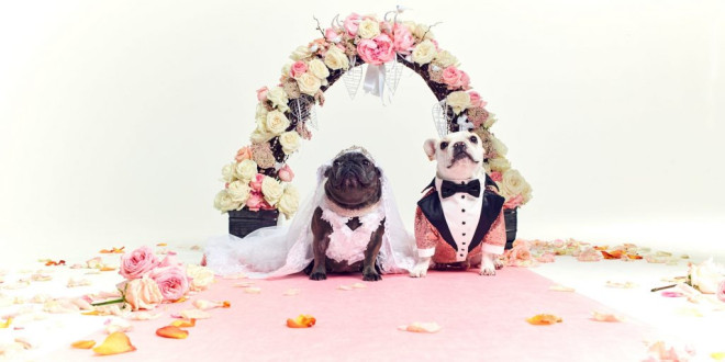 Whoopi Goldberg's Grand-Dog Weds in Elaborate Ceremony Fit for a Human