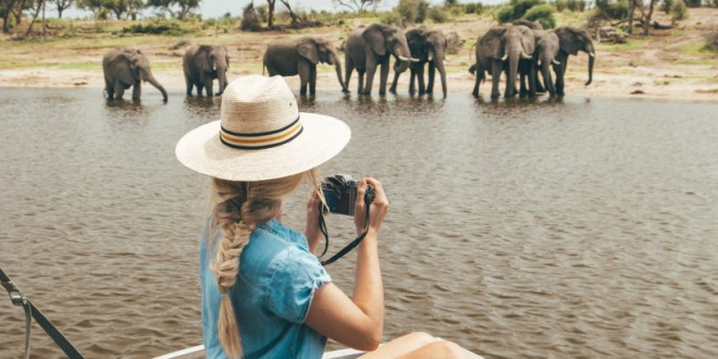 The Perfect 12-Day African Safari Adventuremoon Itinerary